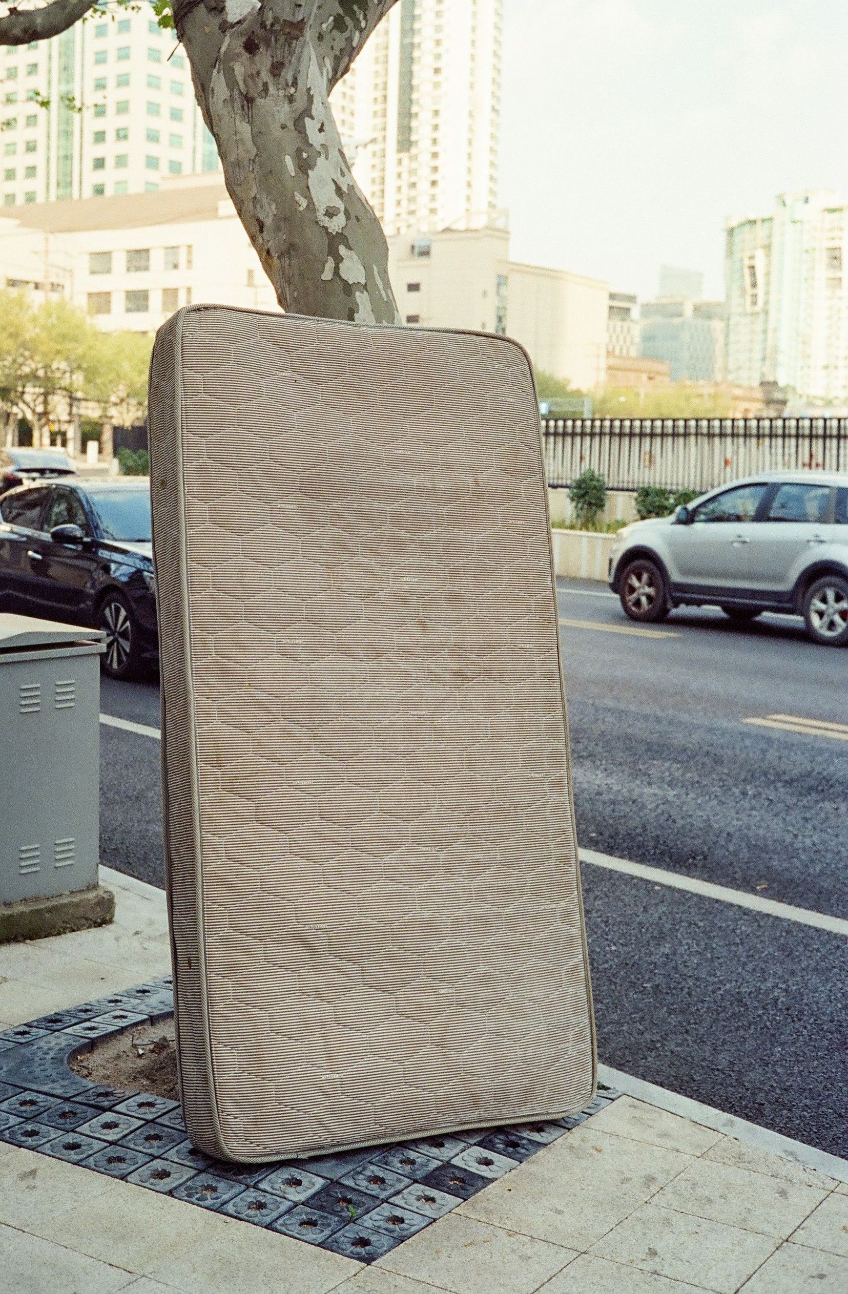 A mattress leans against a tree on the sidewalk.
